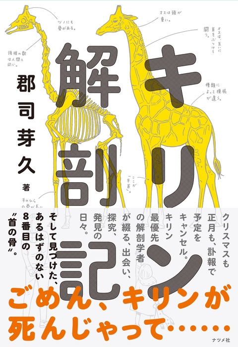 『キリン解剖記』を折る